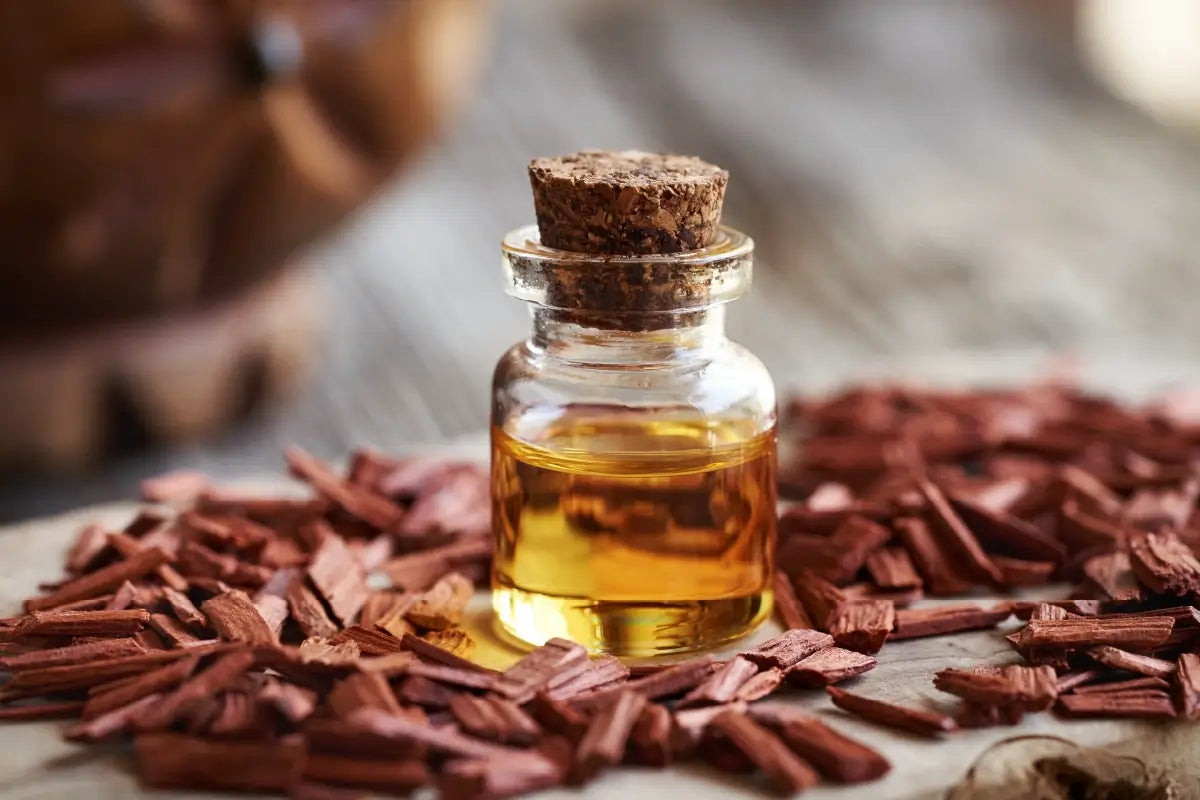 Zapach, który relaksuje ciało i umysł – właściwości drzewa sandałowego w kosmetykach