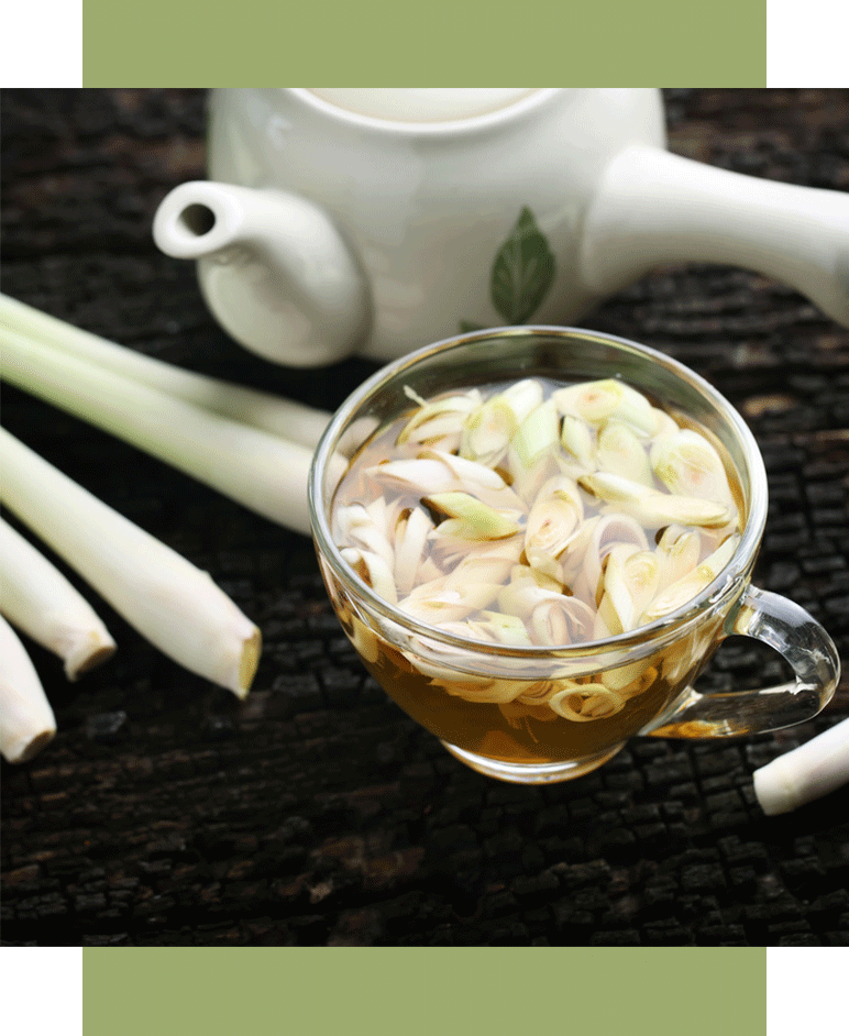 NAPAR Z IMBIRu, TRAWY CYTRYNOWEJ i CYTRYNY JESIENNE TRIO Z AZJI - Orientana