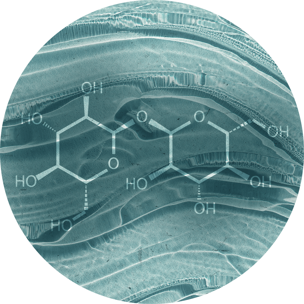 SKŁADNIK Trehaloza : Rewolucja dla Twojej Skóry - Orientana