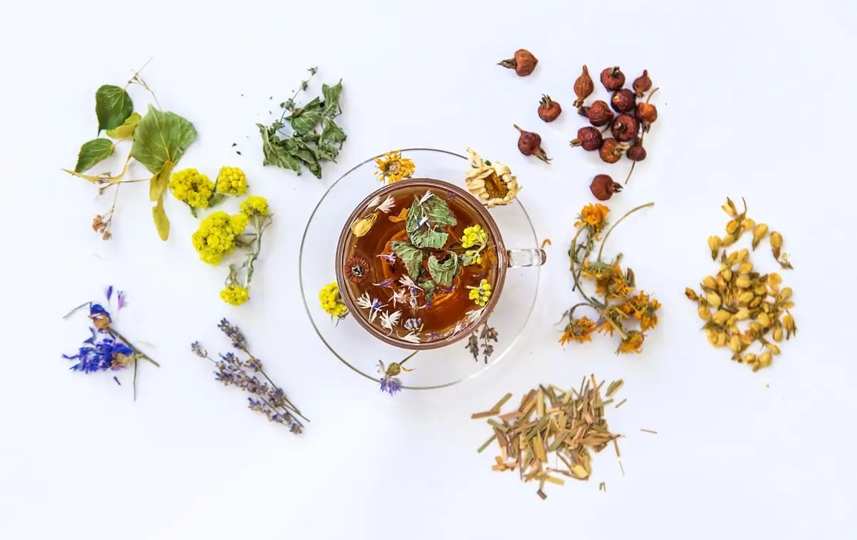 Zioła w Ajurwedzie. Odkryj rośliny, które odmieniają pielęgnację skóry i włosów