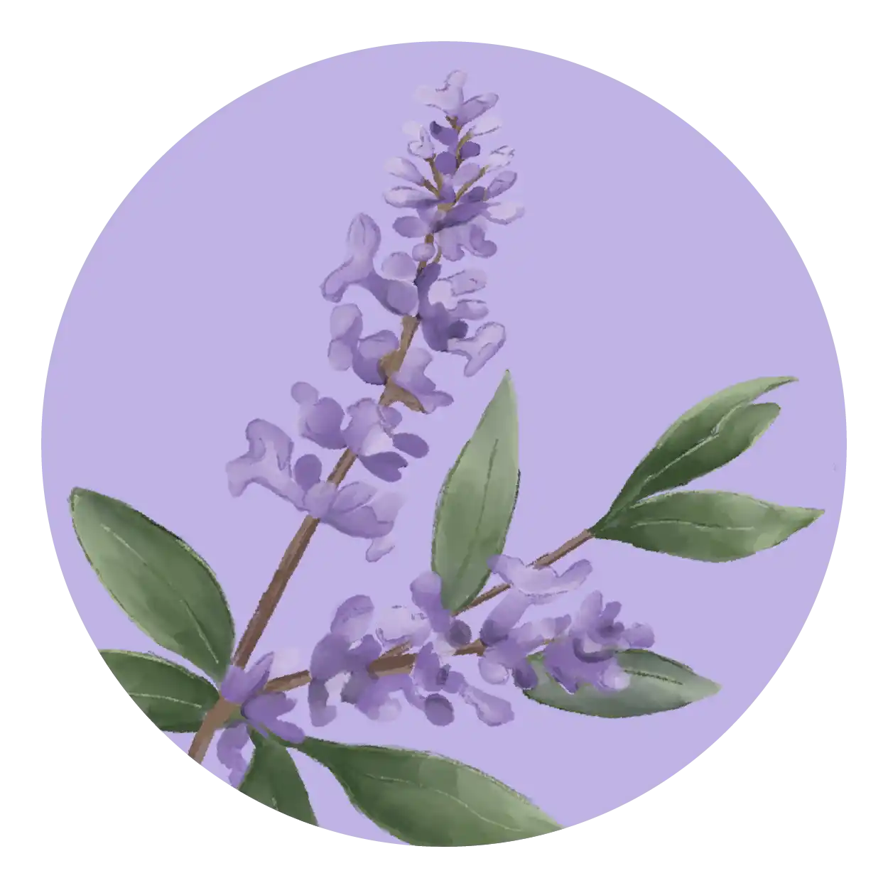 woda lawendowa (lawenda)