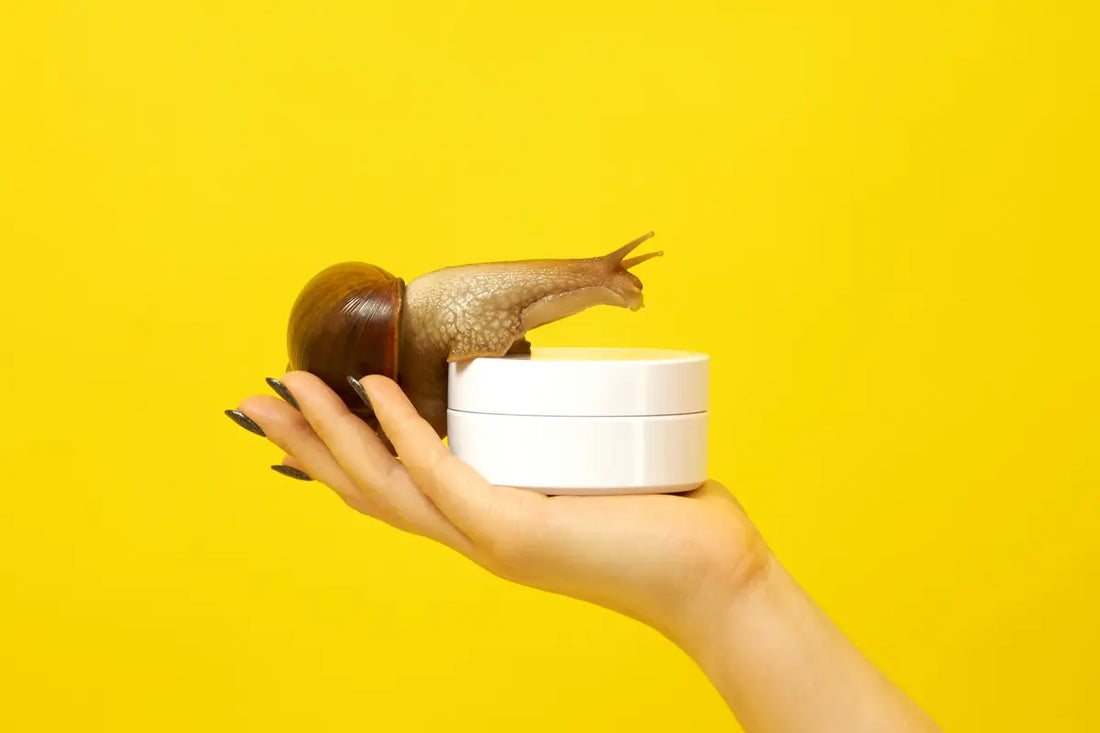 Kosmetyki ze śluzem ślimaka - najczęściej zadawane pytania