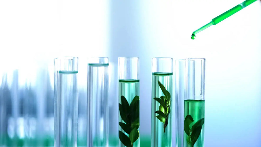 Nowa era w pielęgnacji: biotechnologia w kosmetykach Orientana