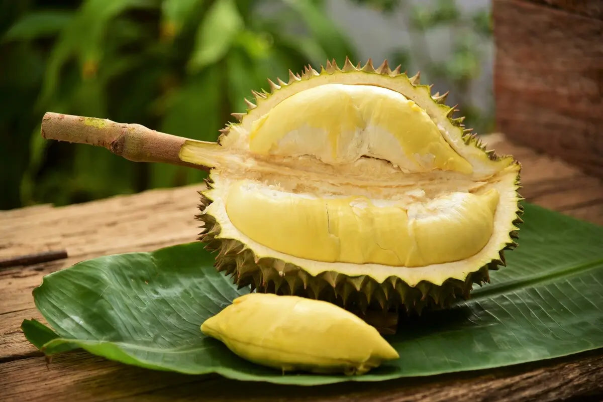Durian - dlaczego ten owoc jest zakazany w wielu miejscach w Azji? Moje doświadczenia z Kuala Lumpur