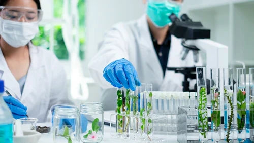 laboratorium kosmetyczne|serum eliksir Tremella Egzosomy