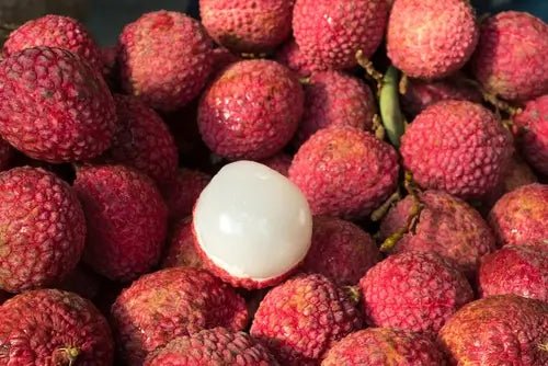 LICZI - OWOC NA SKÓRĘ I WŁOSY - Orientana