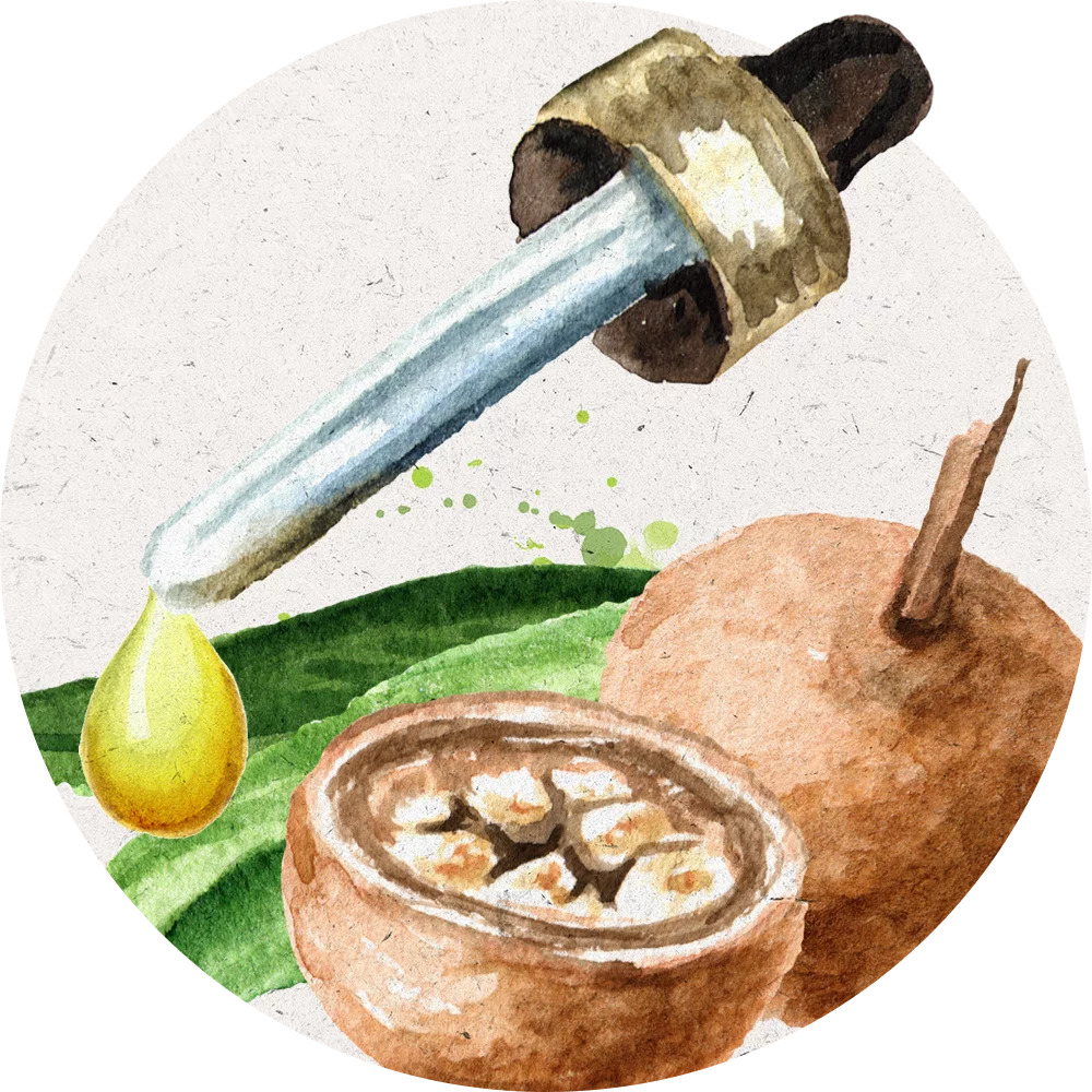 Orientana