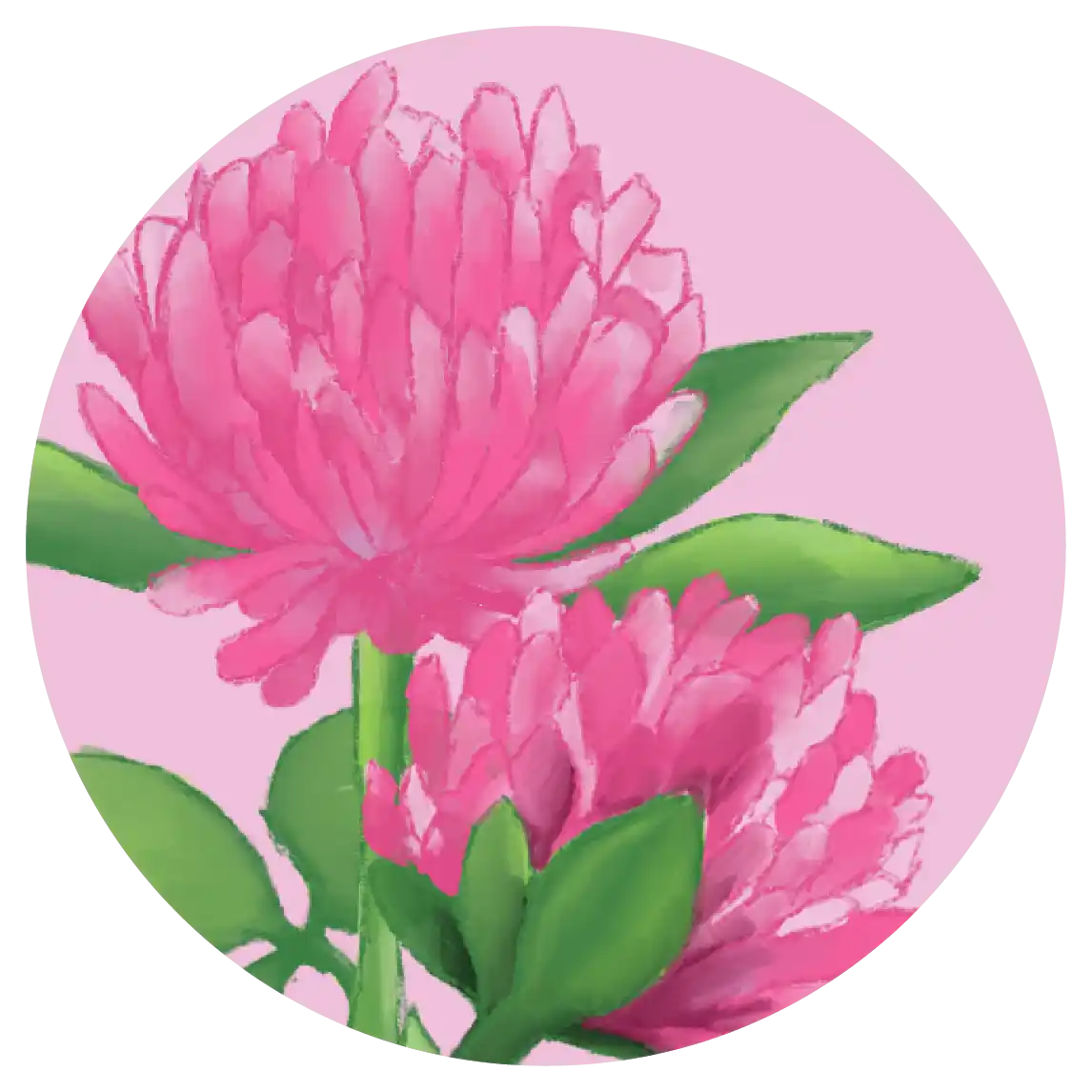 Orientana
