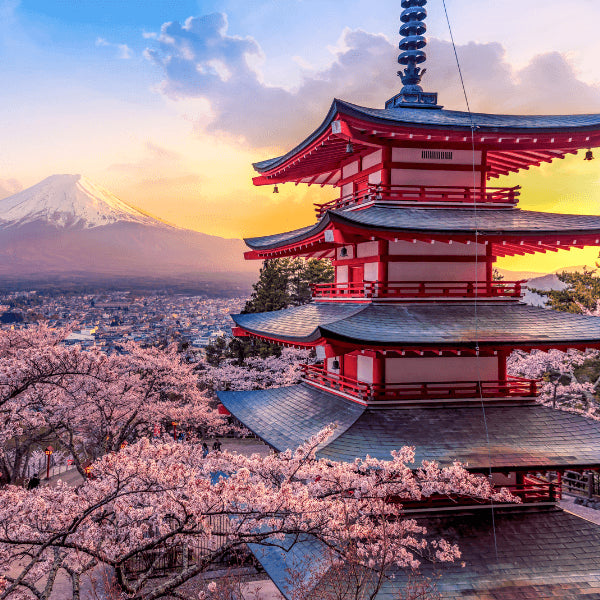 Nasze wartości Orientana Senso ji Japonia