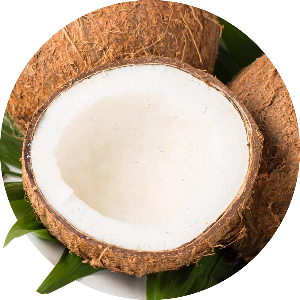 Orientana