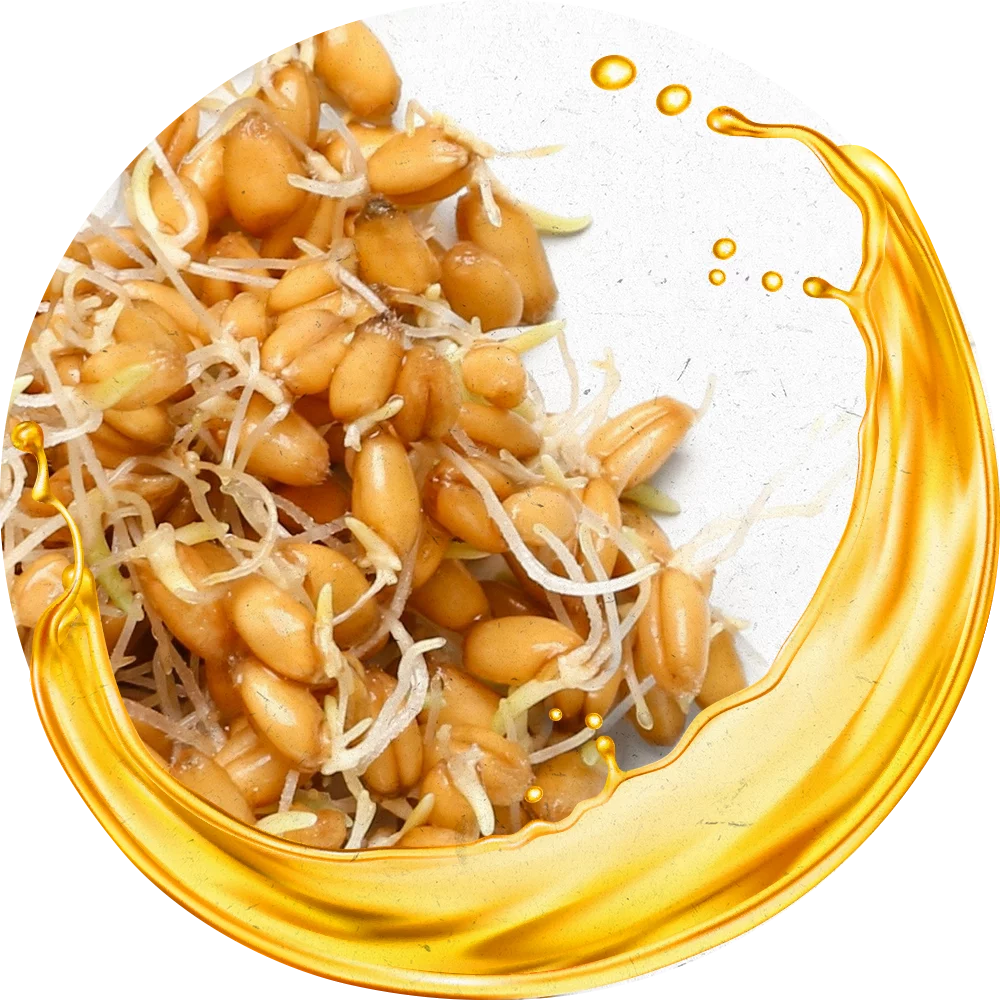 Orientana
