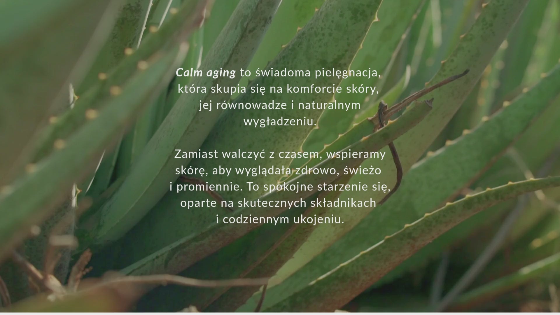 Załaduj wideo: 