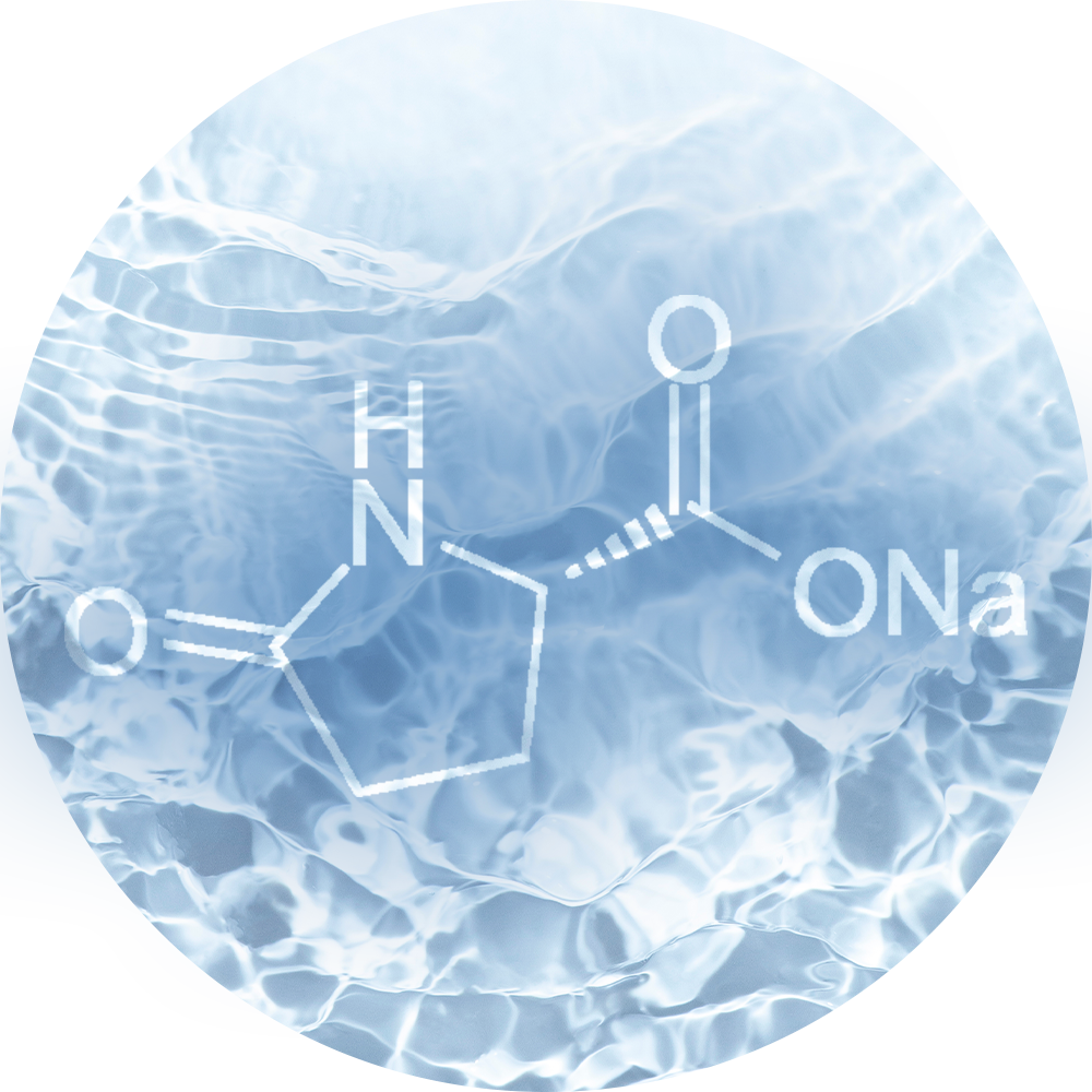 wizualizacja Sodium PCA