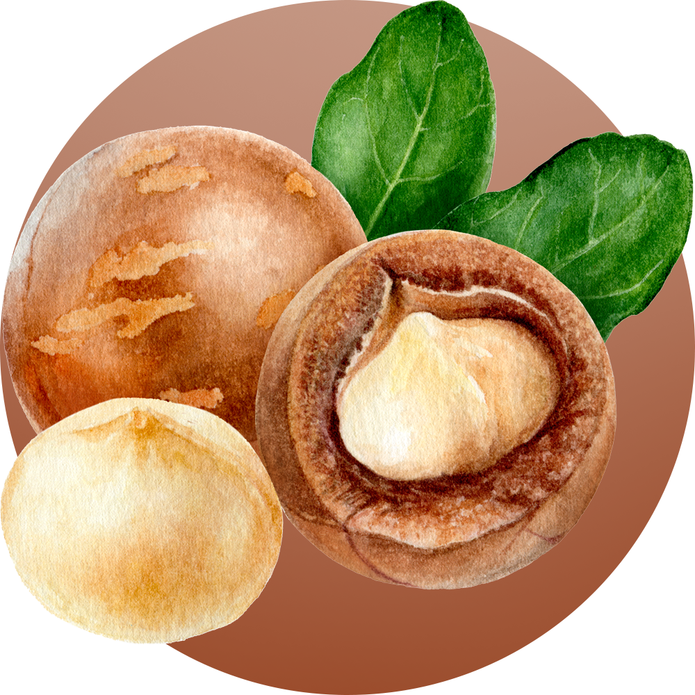 orzechy macadamia